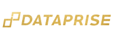 dataprise logo